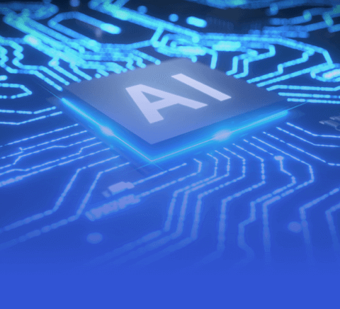 新手入门指南：MK体育官网